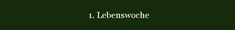 1. Lebenswoche