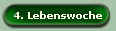 4. Lebenswoche