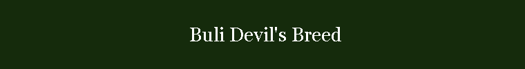 Buli Devil`s Breed
