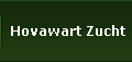 Hovawart Zucht