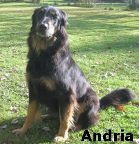 Andria